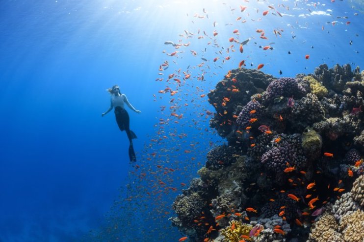 Sustainable Tourism Global Center and WTTC Unveil Pioneering Global Research on Travel & Tourism