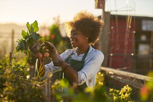 WTTC & Harvard - Learning Insight - Sustainability Leadership